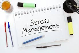The Link Between Metabolic Stress and Mental Health: How Prioritizing Wellness Can Make a Difference